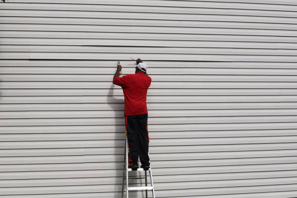 Best Stone Veneer Siding  in Aliso Viejo, CA