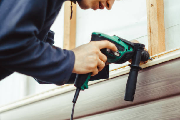 Best Wood Siding Installation  in Aliso Viejo, CA